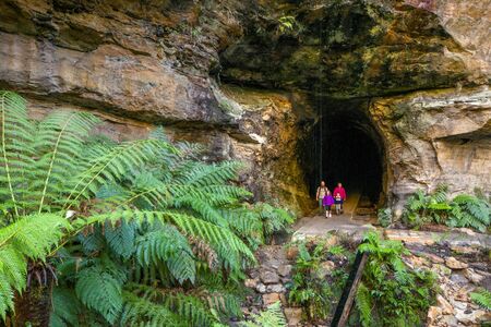 Glow Worm Tunnel
