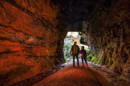 Glow Worm Tunnel