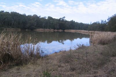 Scheyville National Park